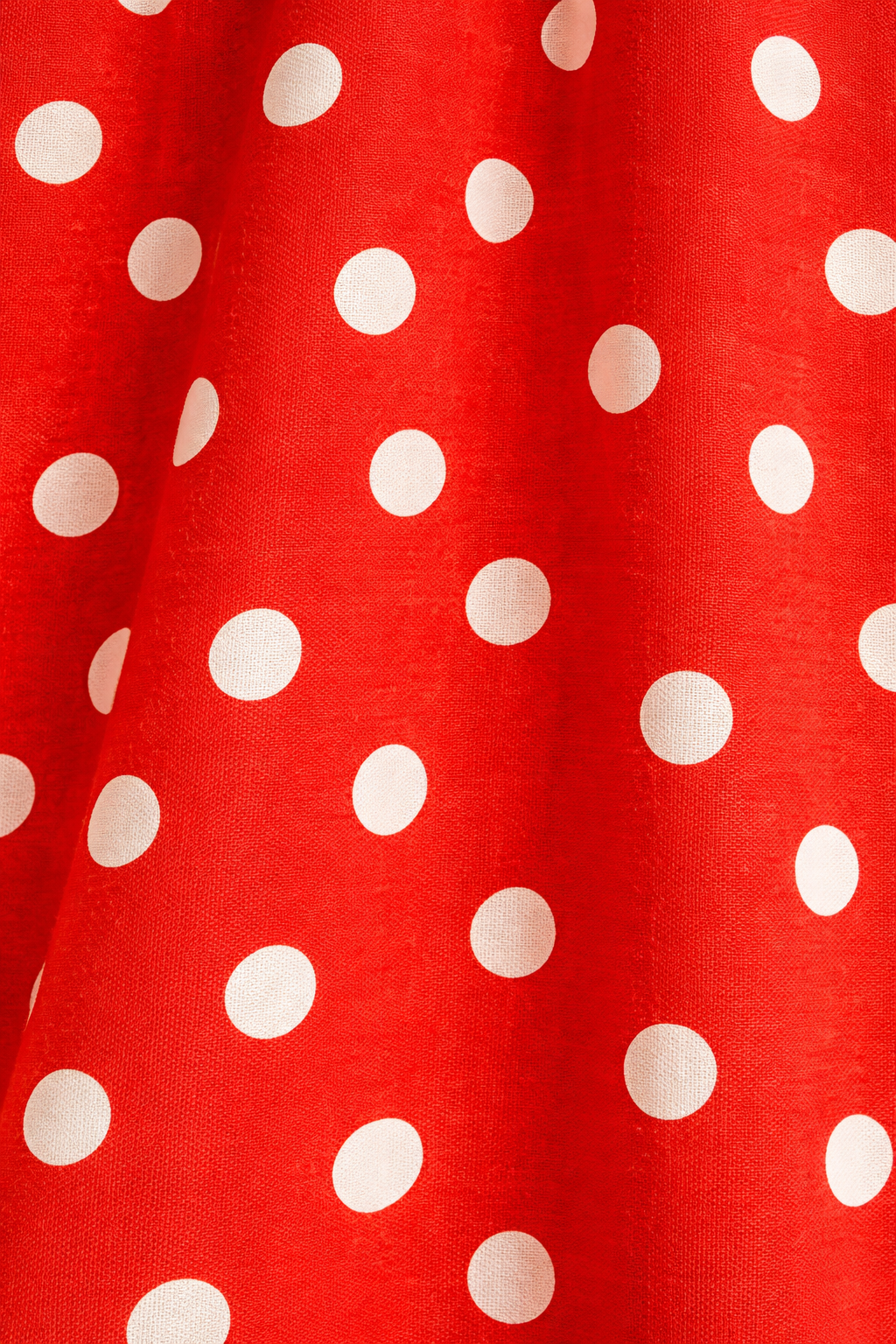 Prairie Luxe Polka Dress